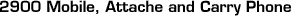 2900_HEAD.GIF (1038 bytes)